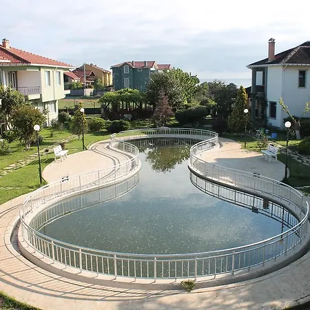 Yesil Kasaba Yonca *