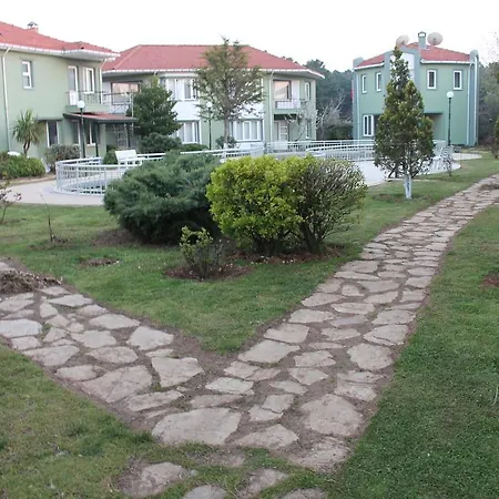 Yesil Kasaba Yonca *