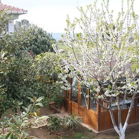 Yesil Kasaba Yonca Villa *