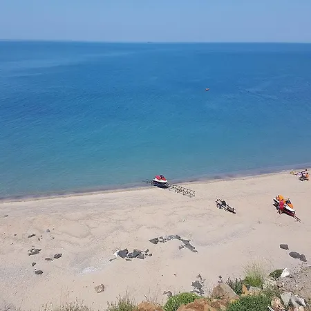 Yesil Kasaba Yonca * Ağva